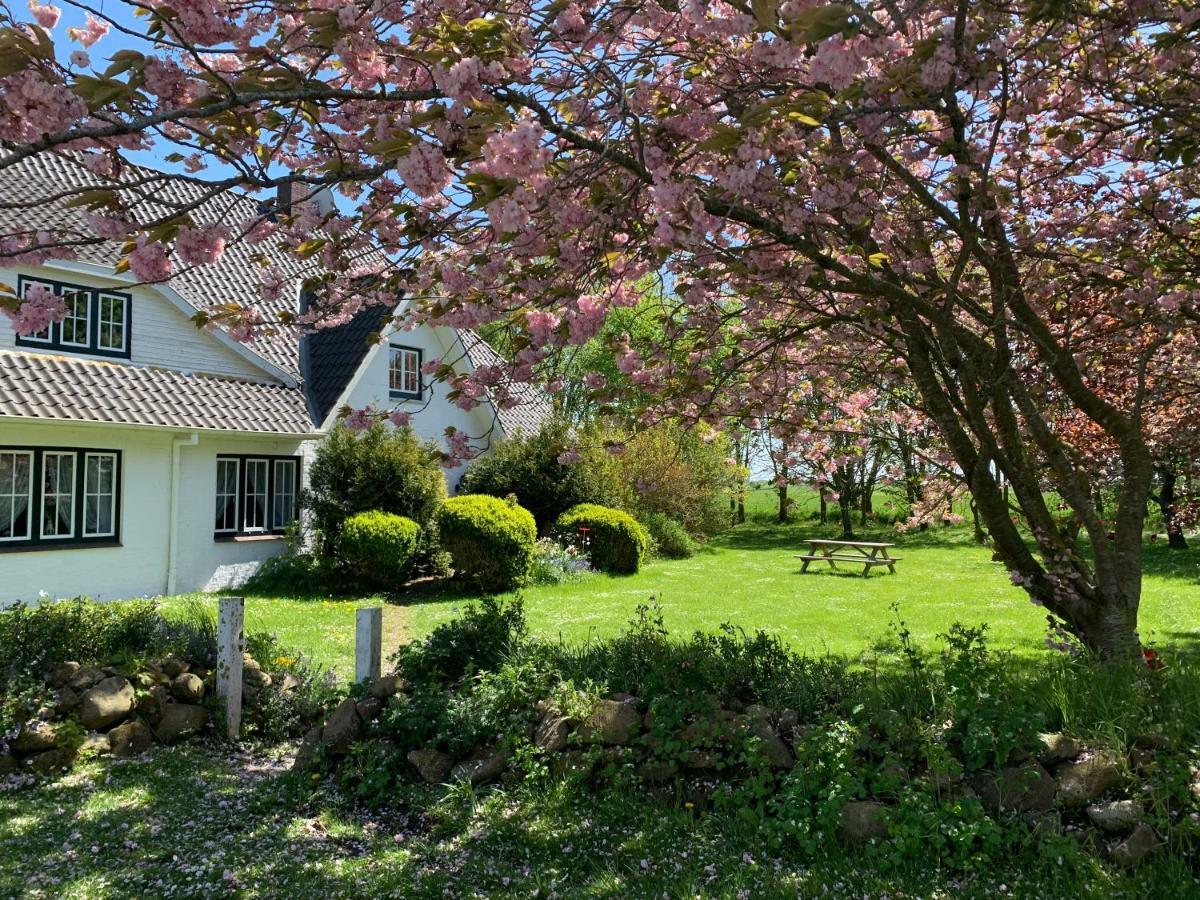Landhaus Haack Tumlauer Koog Exterior foto