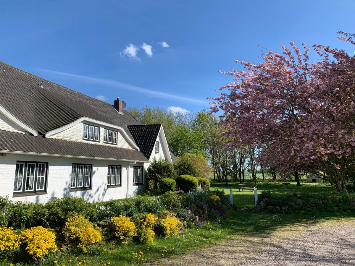 Landhaus Haack Tumlauer Koog Exterior foto